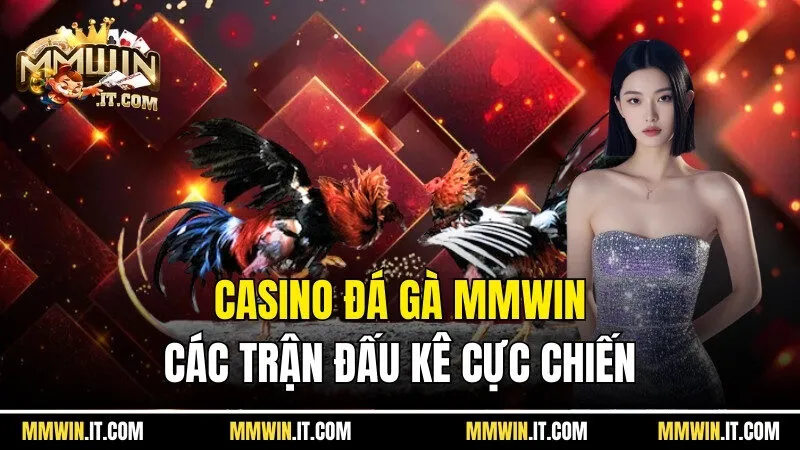 Casino Đá Gà Mmwin - Hòa Mình Vào Các Trận Đấu Kê Cực Chiến